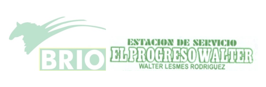Estación de Servicio el Progreso Walter